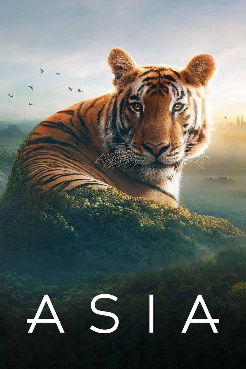 Asia  2024