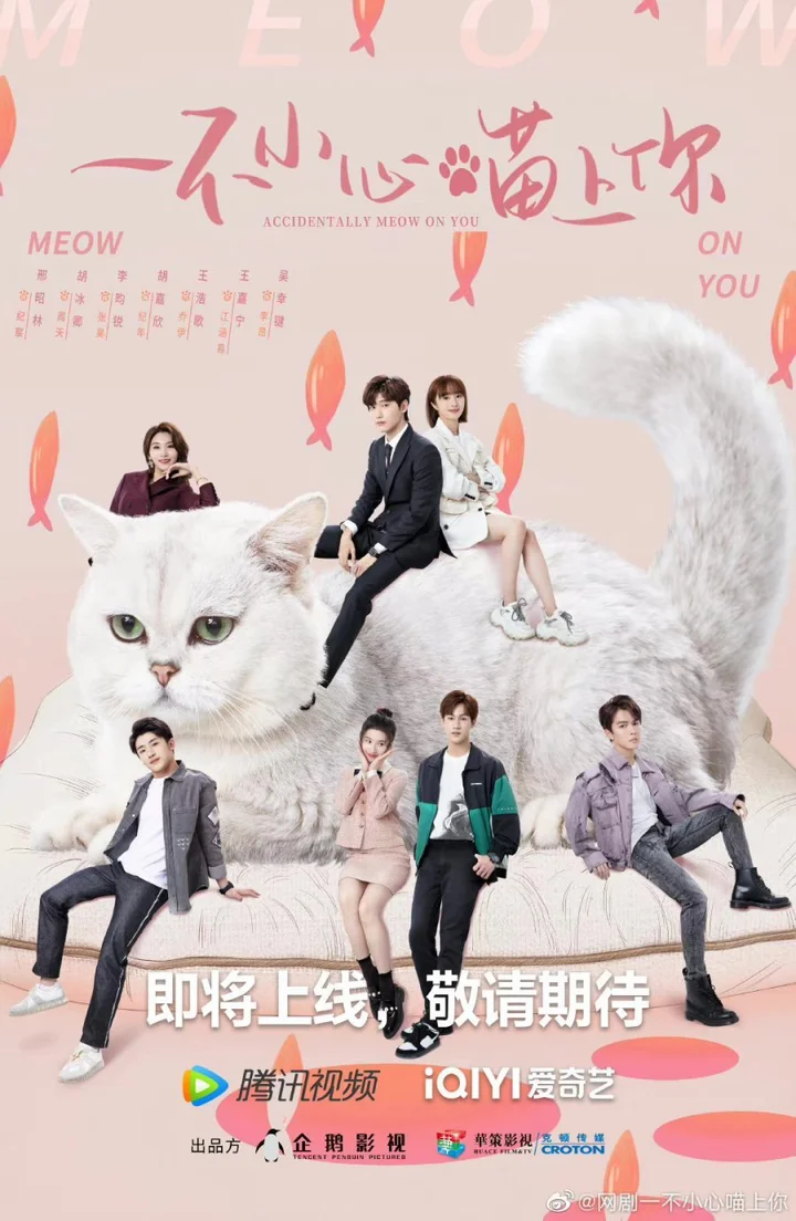 Bất Cẩn Meow Phải Anh  2022