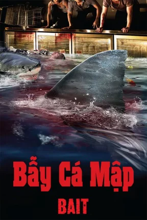 Bẫy Cá Mập  2013