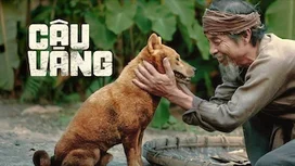 Cậu Vàng  2021