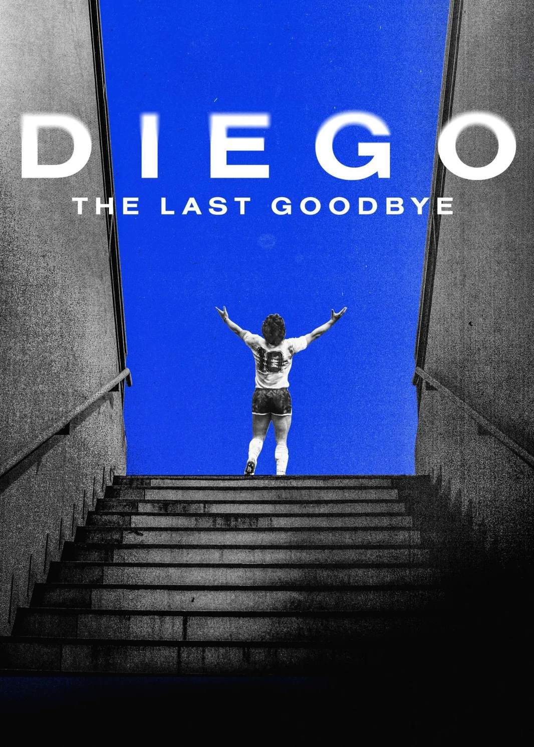 Diego: The Last Goodbye  2021