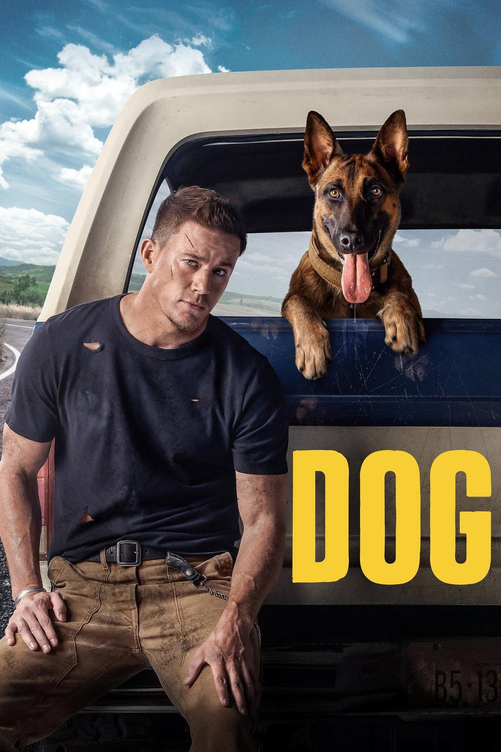 Dog  2022