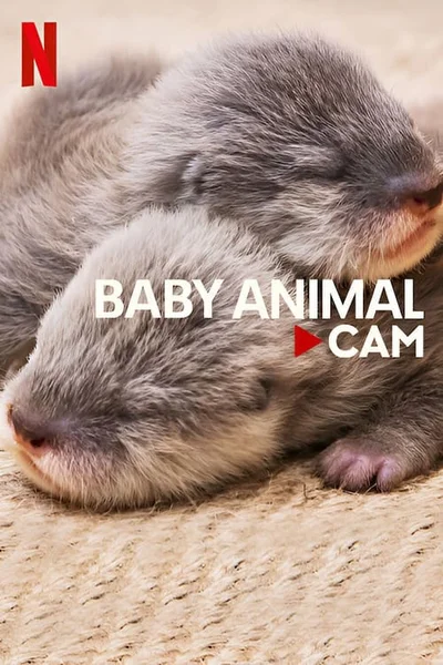Động vật bé cưng trên camera  2023