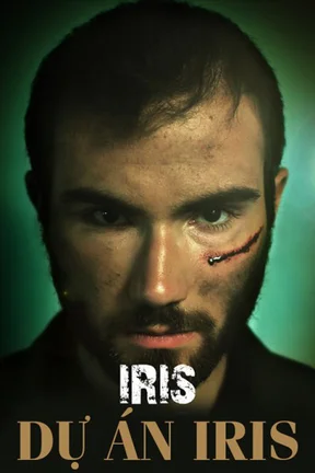 Dự Án Iris  2017