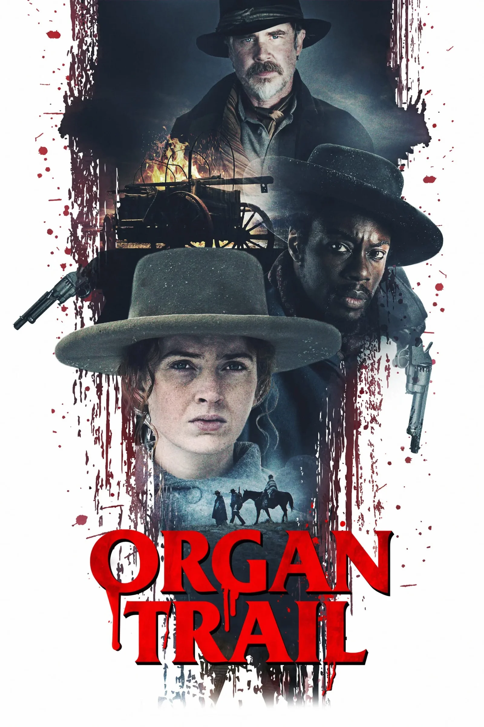 Đường Mòn Organ  2023