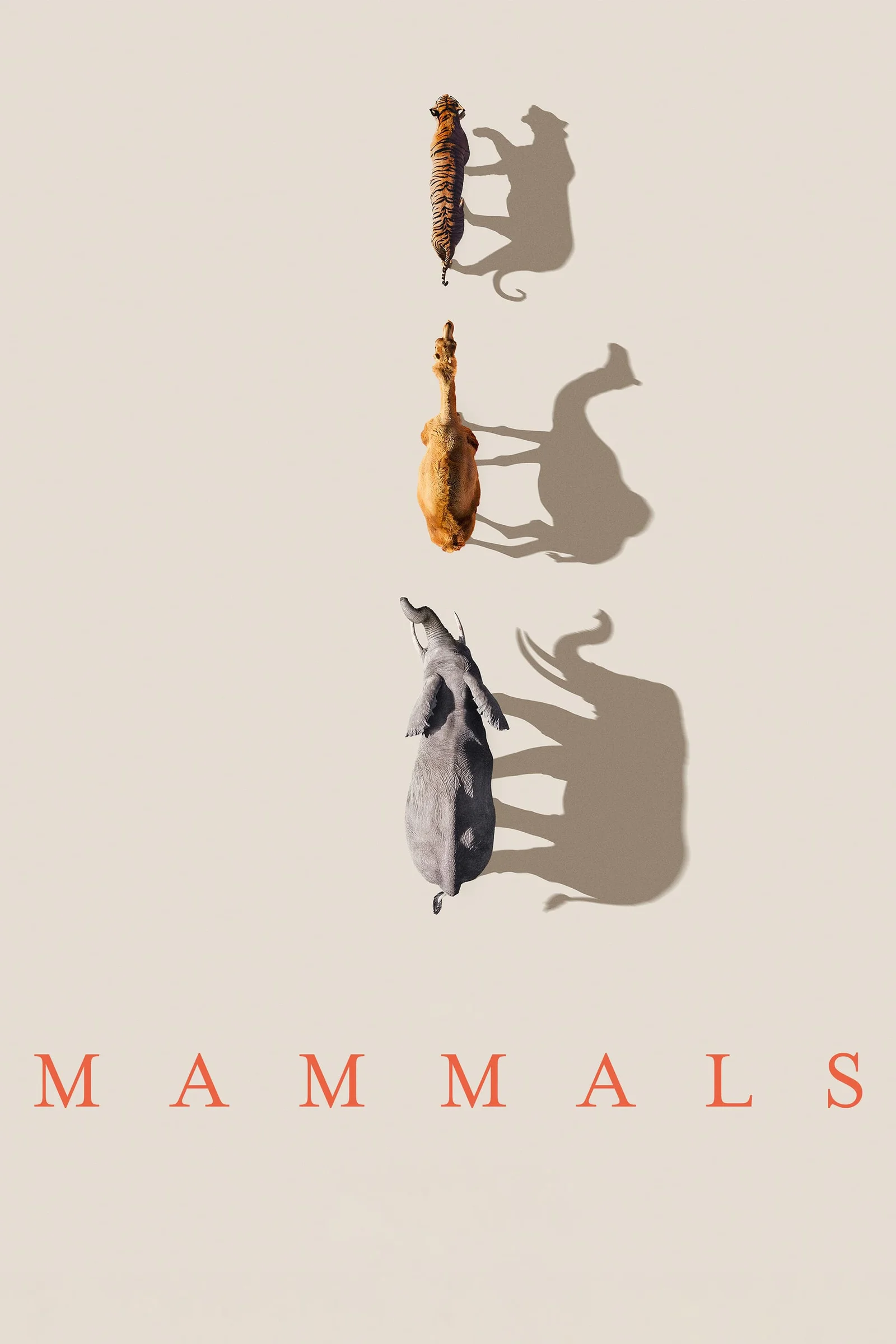 Mammals (2024)  2024