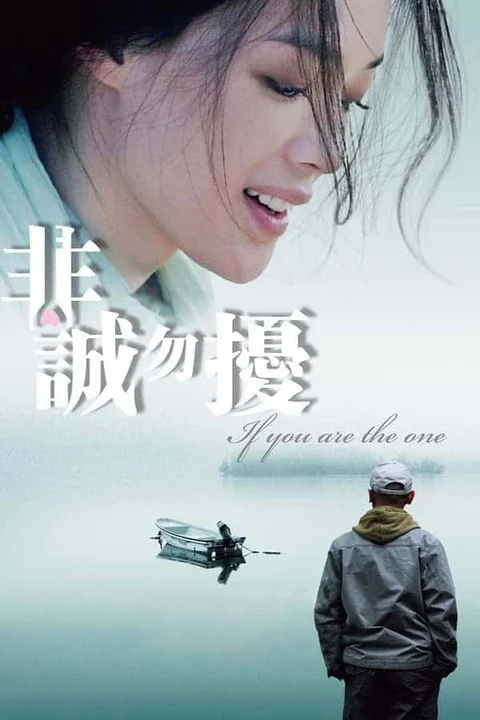 Nếu em là người tình  2008
