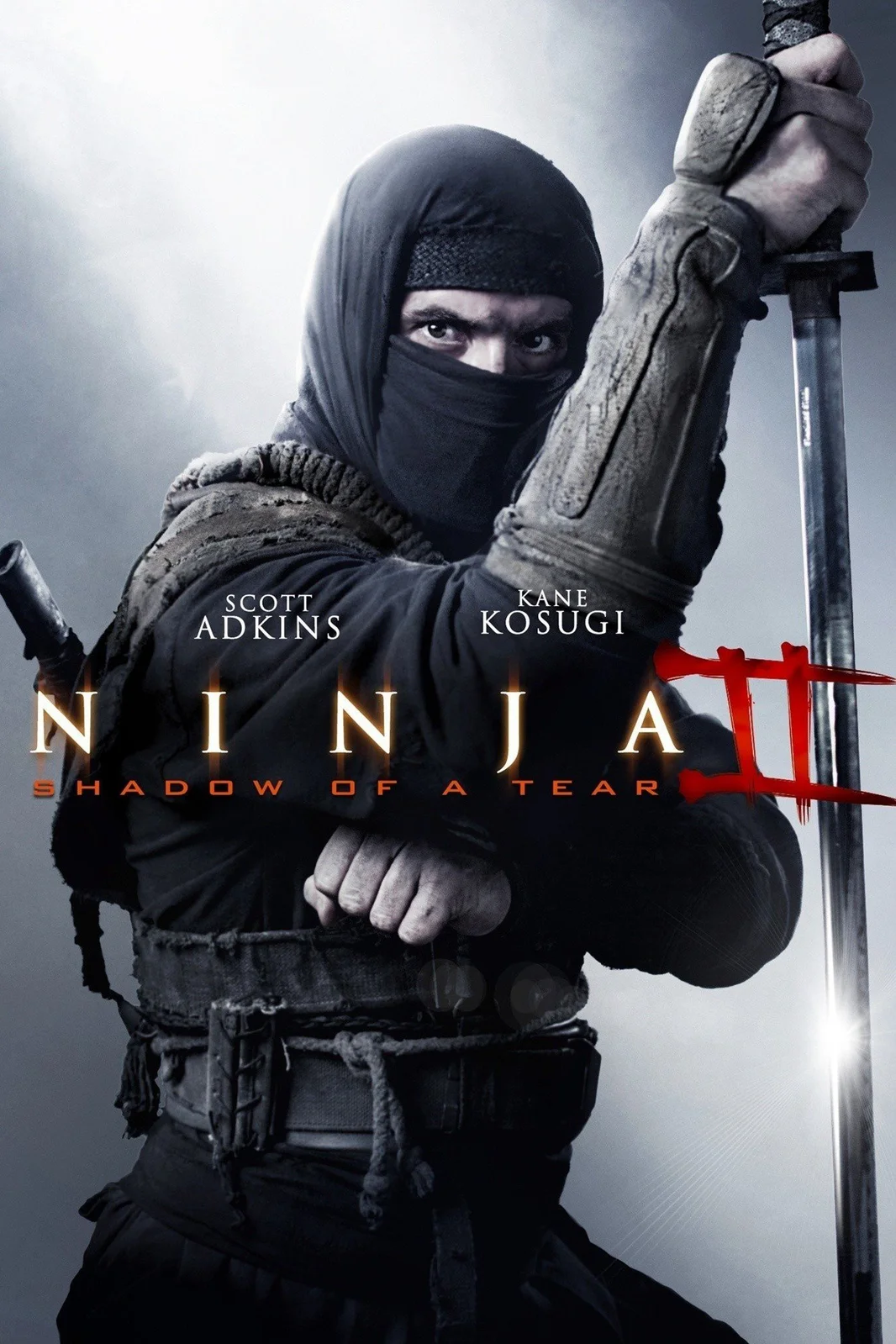 Ninja Báo Thù  2013