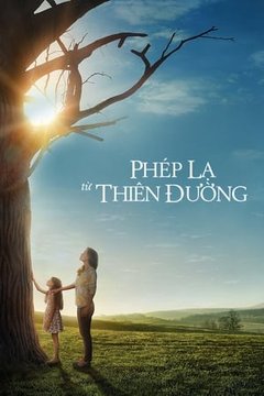 Phép Màu Từ Thiên Đàng 2016