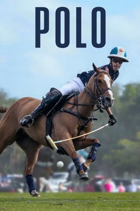 Polo  2024