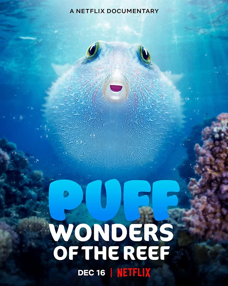 Puff: Rạn san hô kỳ diệu  2021