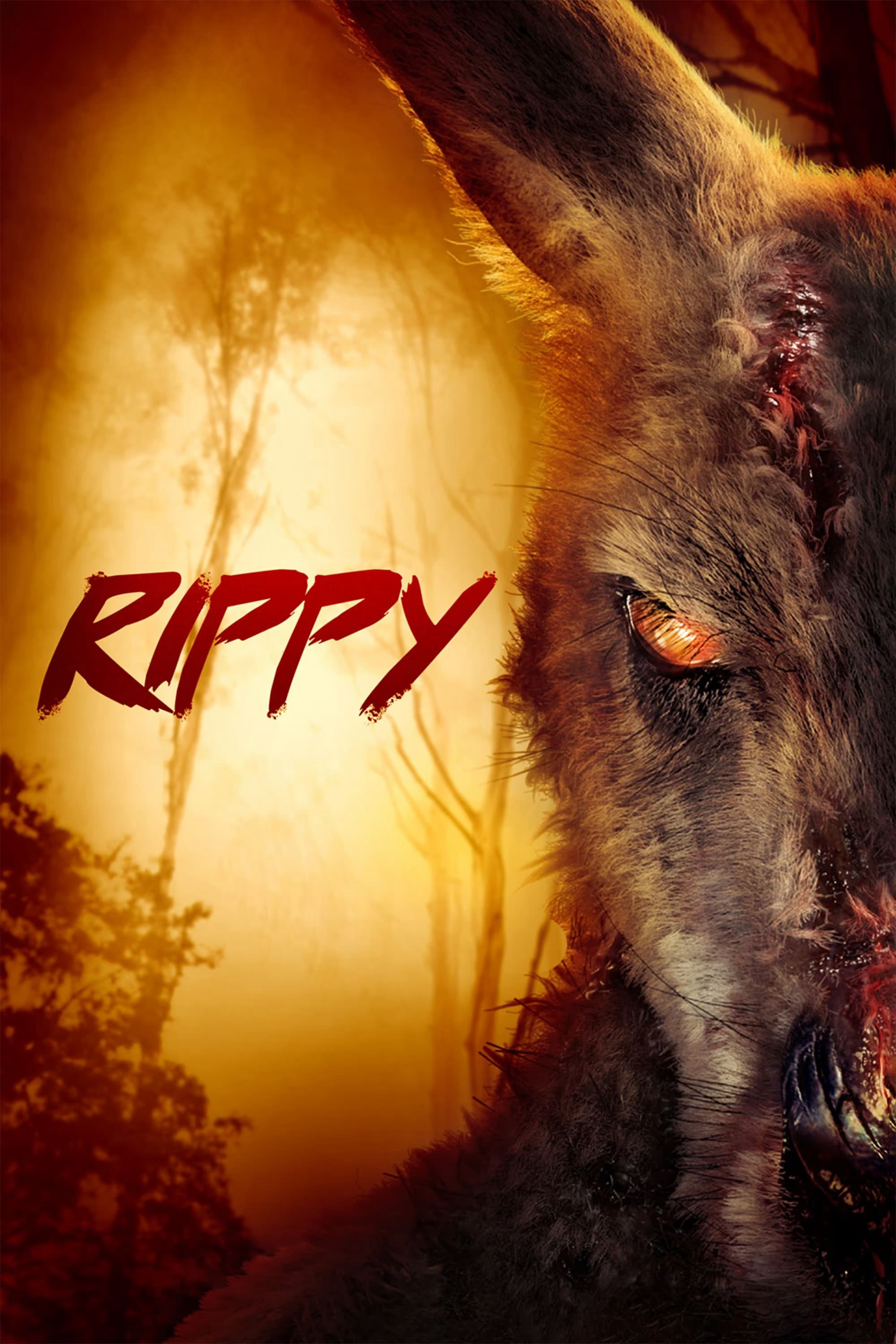 Rippy  2024