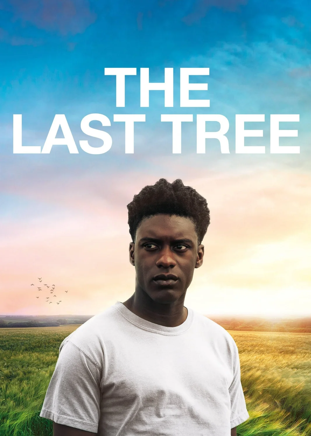 The Last Tree  2019