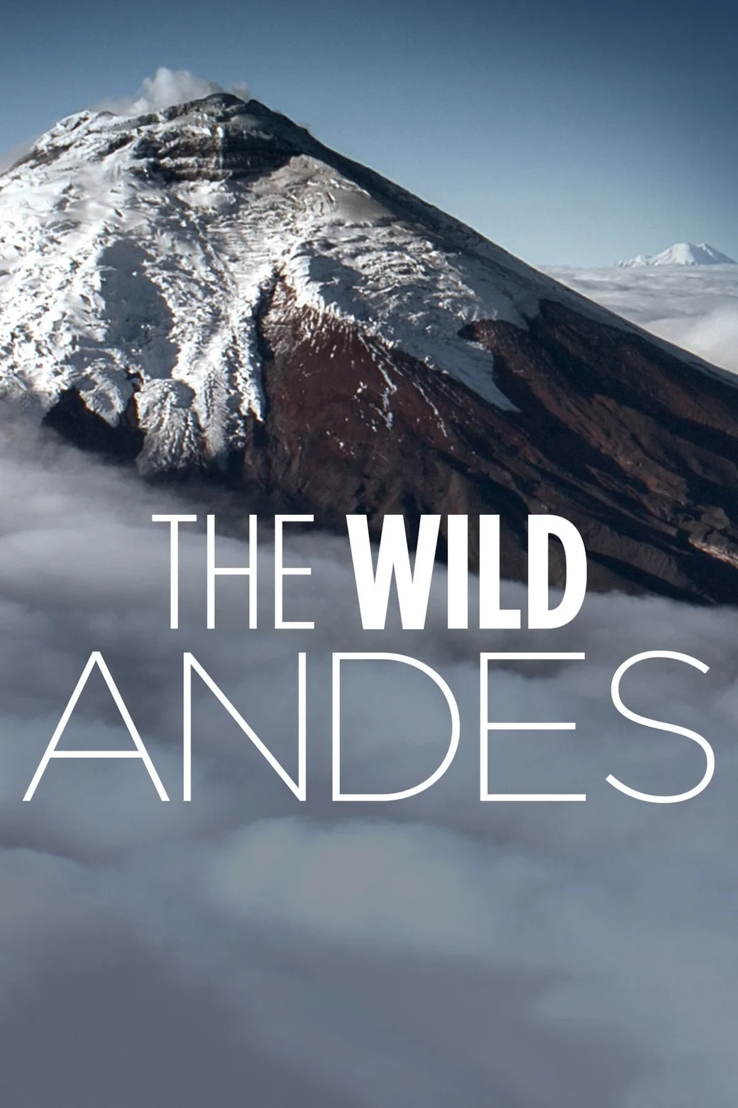 The Wild Andes  2018