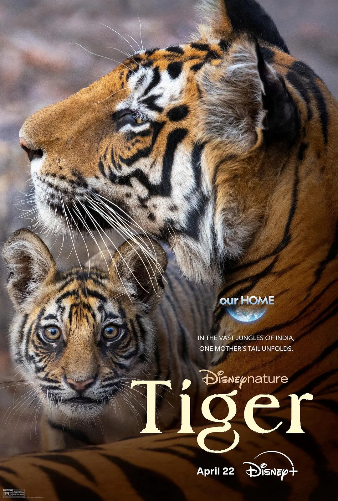Tiger  2024