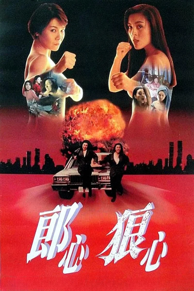 Women on the Run  1993